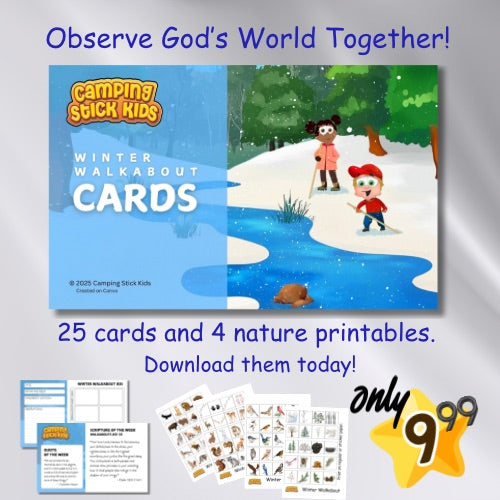 Winter Walkabout Cards