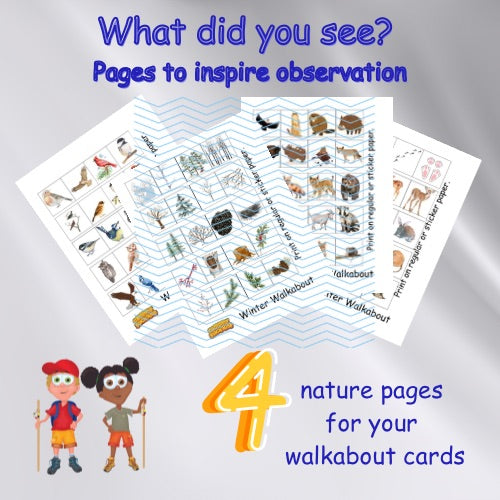 Winter Walkabout Cards