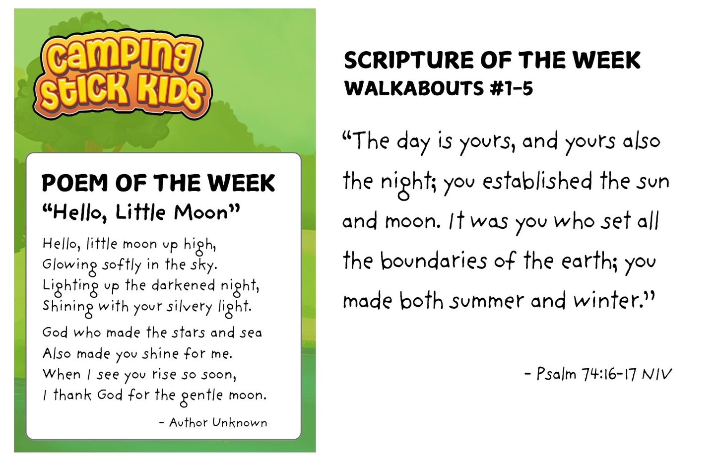 Summer Walkabout Cards
