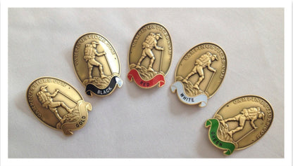 1 set of 5 metal medallions for hiking sticks